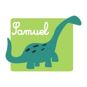 Bolsita Dinosaurio Azul-2987